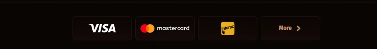 Payment methods row showing Visa, Mastercard, Interac, and a “More” button on a dark background.